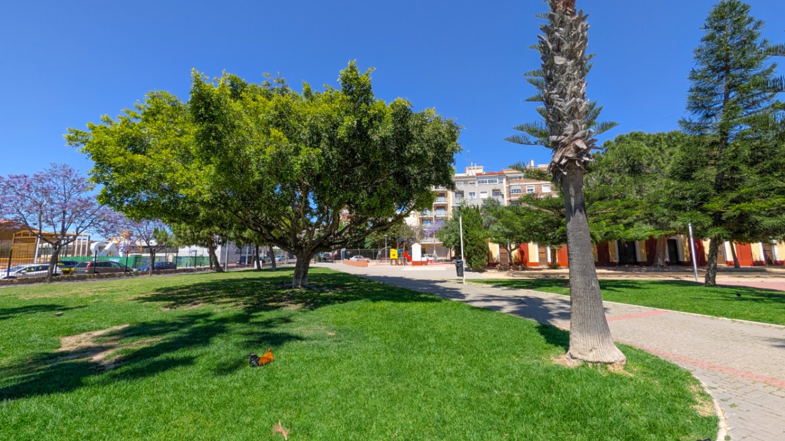 CD0133 — Torrevieja bild 19